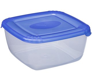 Pojemnik 6szt. polar 2,5l kwadrat | 1677