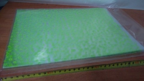 Worek celofan 25szt. 25x35cm ZIELONE KWIATY